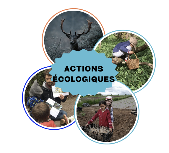 action-association-le-petit-monde-de-montessori-écologie