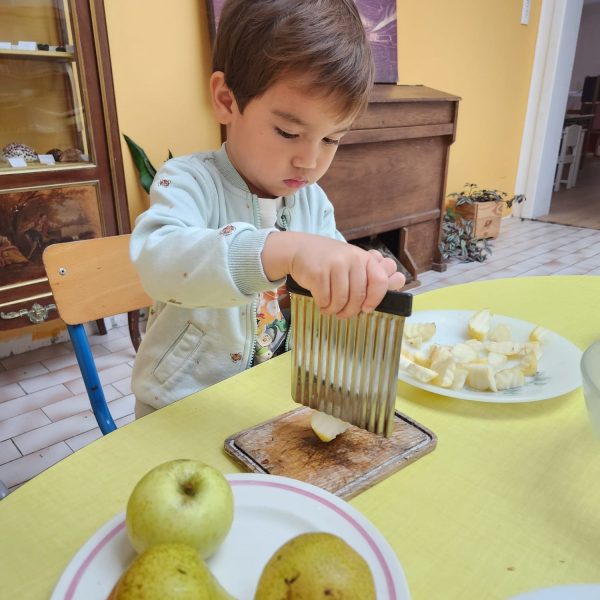 ateliers-enfants-montessori-epinal-fruits